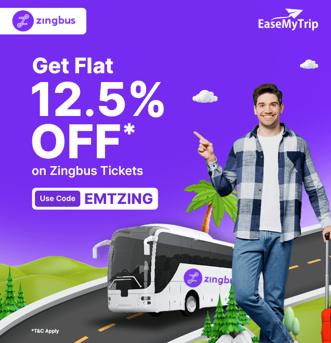 zingbus Offer