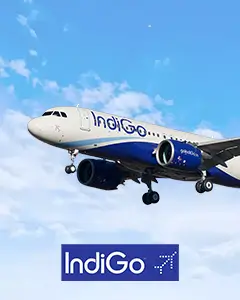 Indigo Offer