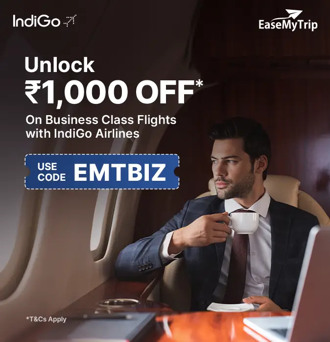 indigo Offer