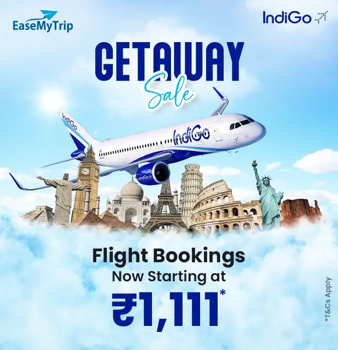 indigo Offer