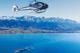 45 Minutes Whale Watching Ocean Safari Helicopter Tour Kaikoura 