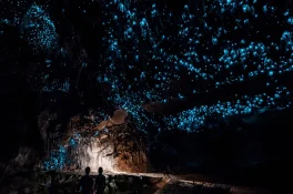 Waitomo Eco Adventure Glowworm Cave Tour off the Beaten Track