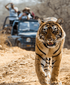 Exotic Jim Corbett and Nainital 