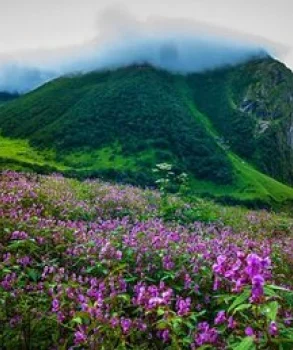 Valley of Flowers and Hemkund Trek 