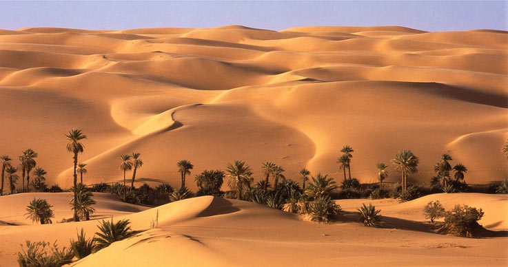 Libya Desert