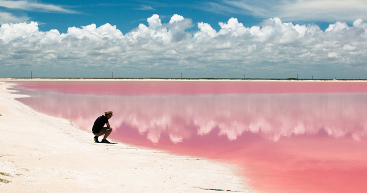 Want to See Most beautiful Thing Try Pink Lagoon in Mexico-5