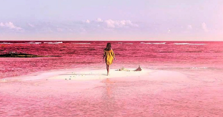 Want to See Most beautiful Thing Try Pink Lagoon in Mexico-2