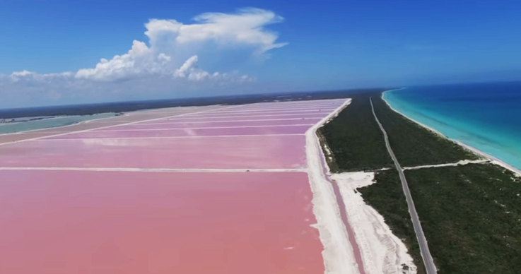 Want to See Most beautiful Thing Try Pink Lagoon in Mexico-4